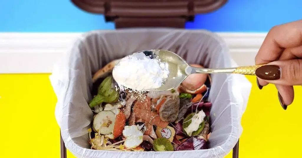 ¿Cómo eliminar los malos olores de la basura con tips caseros? – trucos ...